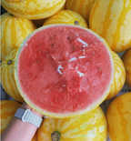 Semillas de sandía Ruby