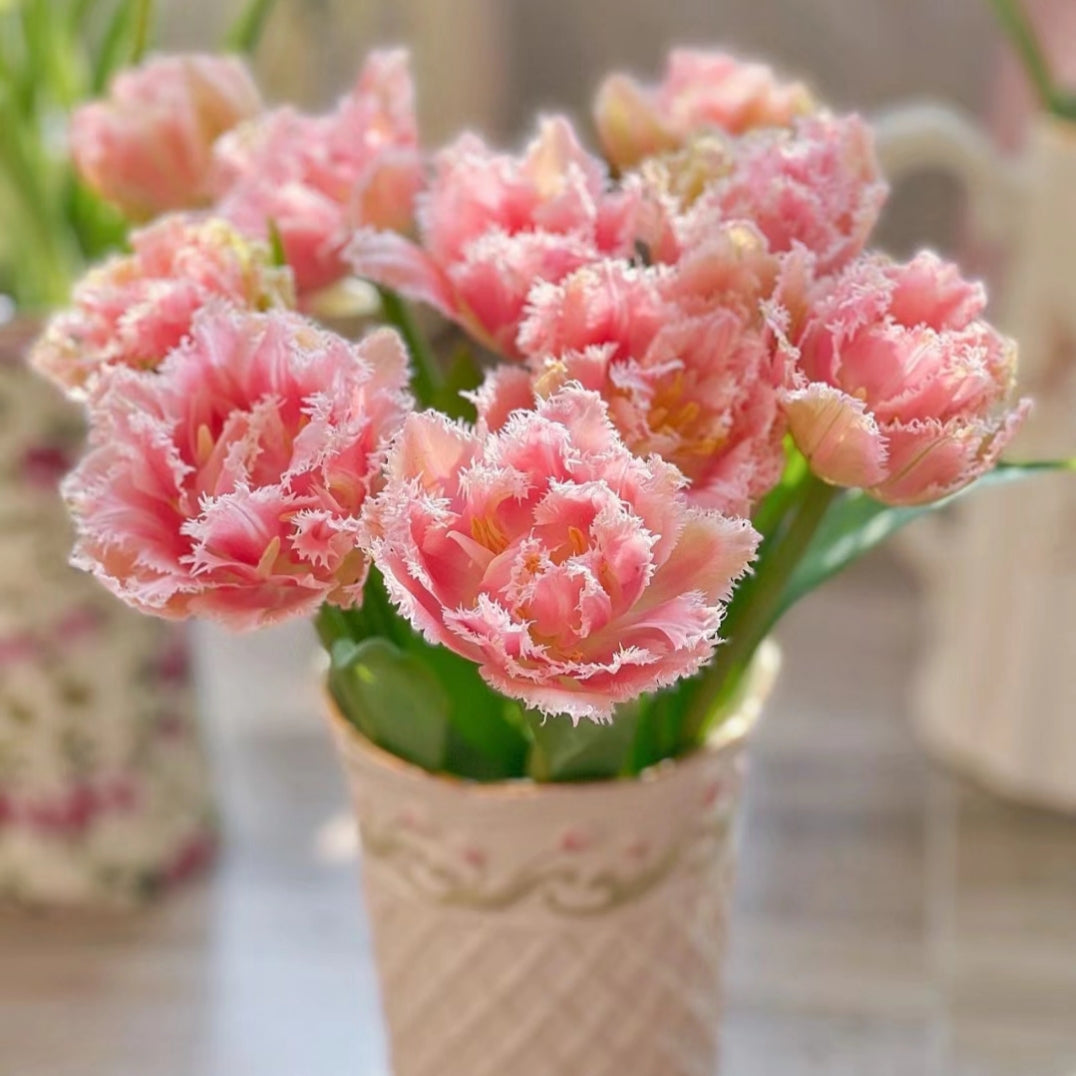 Semillas de tulipán de color raro para bonsái