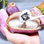 Semillas de Stauntonia Latifolia - Alimento Ecológico