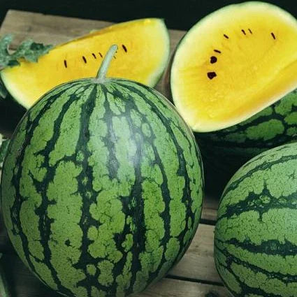 Ruby Watermelon Seeds