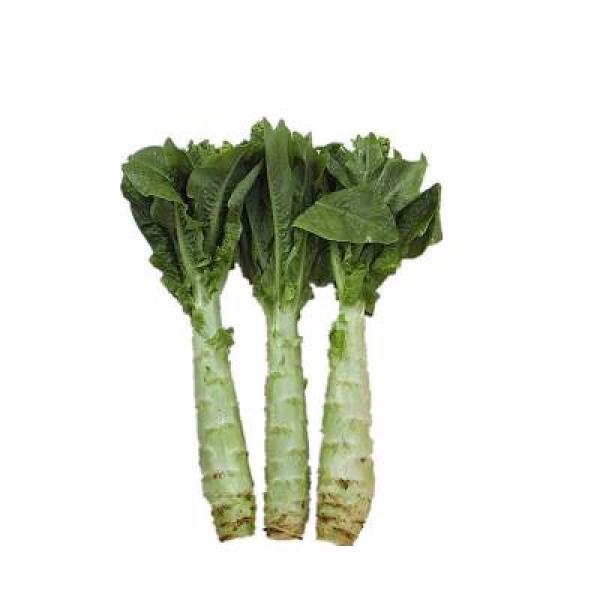 Semillas de espárragos lechuga italiana
