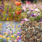 Semillas de Flores Perennes Mixtas-Más de 60 variedades mezcladas