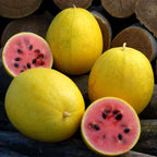 Sandía, Híbrido Rojo en Oro, Sandías Midget Doradas