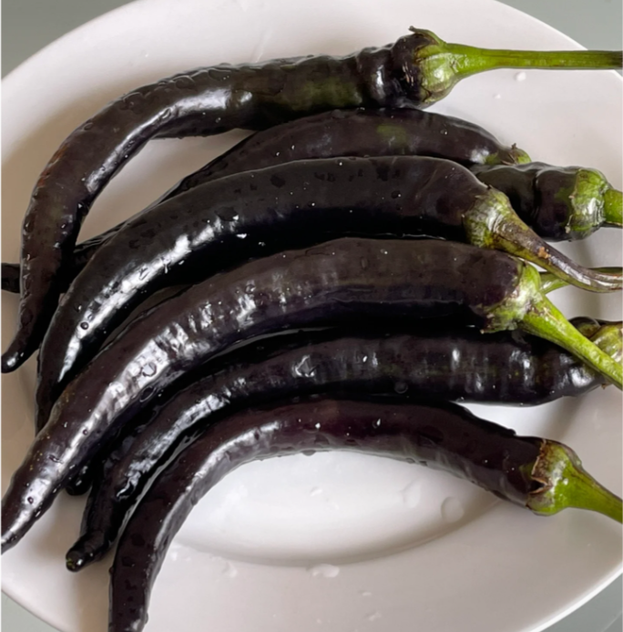 Semillas de pimiento morado-negro
