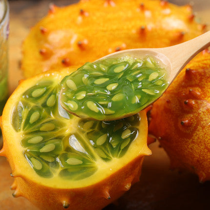 Semillas de Fruto de Ginseng de Fuego