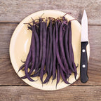 Bean Amethyst