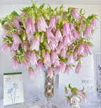 Semillas de Campanula Punteada