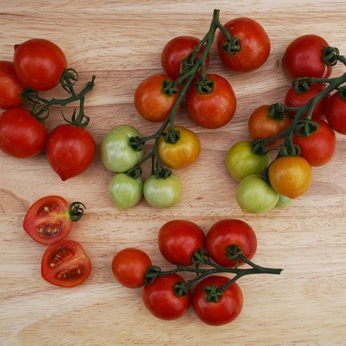 Tentadores tomates - De buen corazón