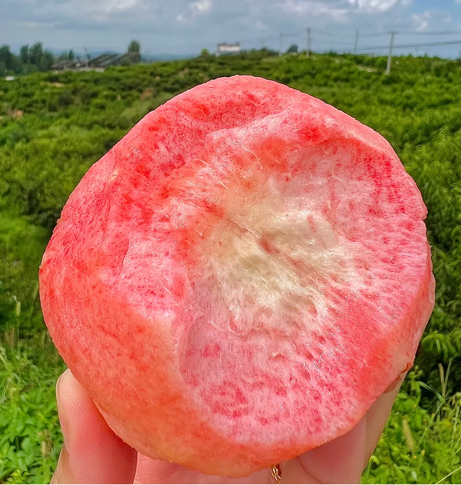 Semillas de melocotón