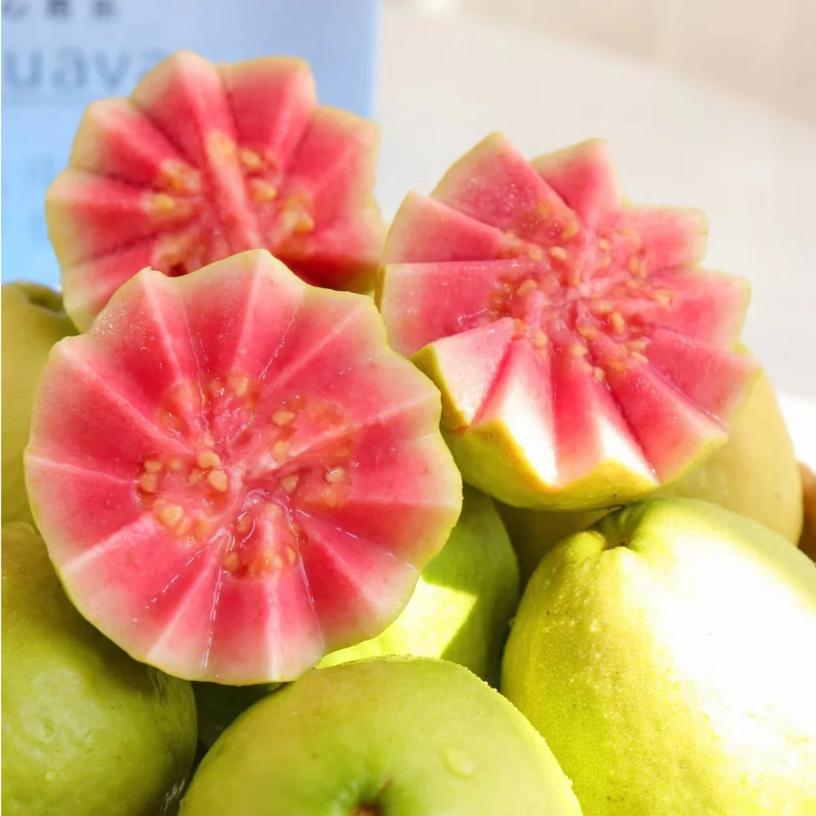 Semillas de guayaba rosada orgánica tropical de fresa y guayaba