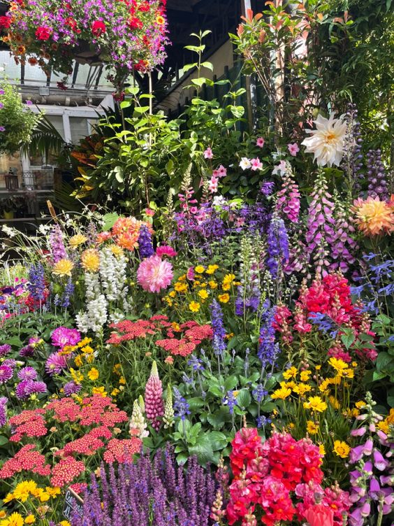All Perennial Wildflower Seed Mix - Rainbow Garden