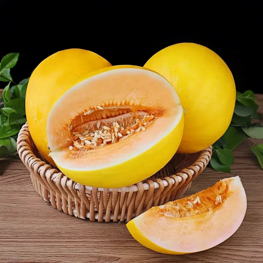 🍈Melón de miel del Río Amarillo