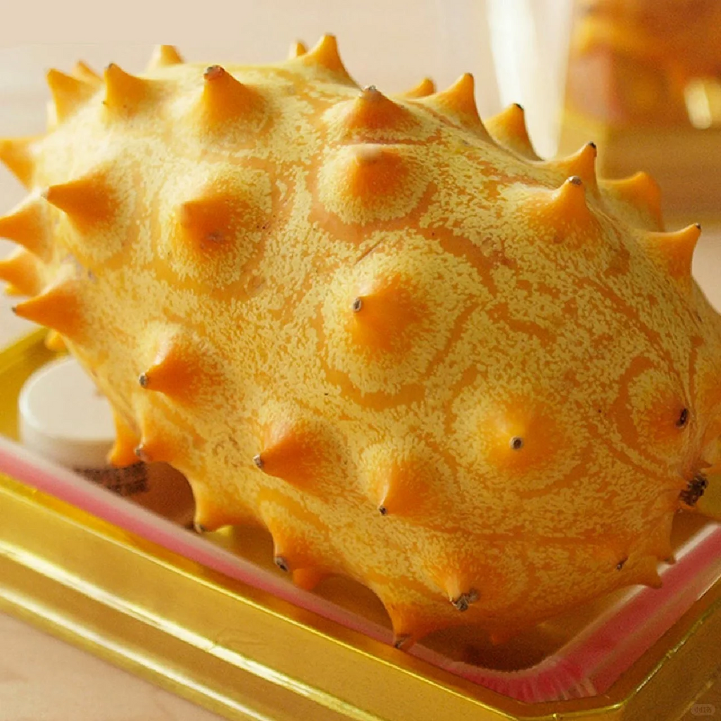 Semillas de Fruto de Ginseng de Fuego