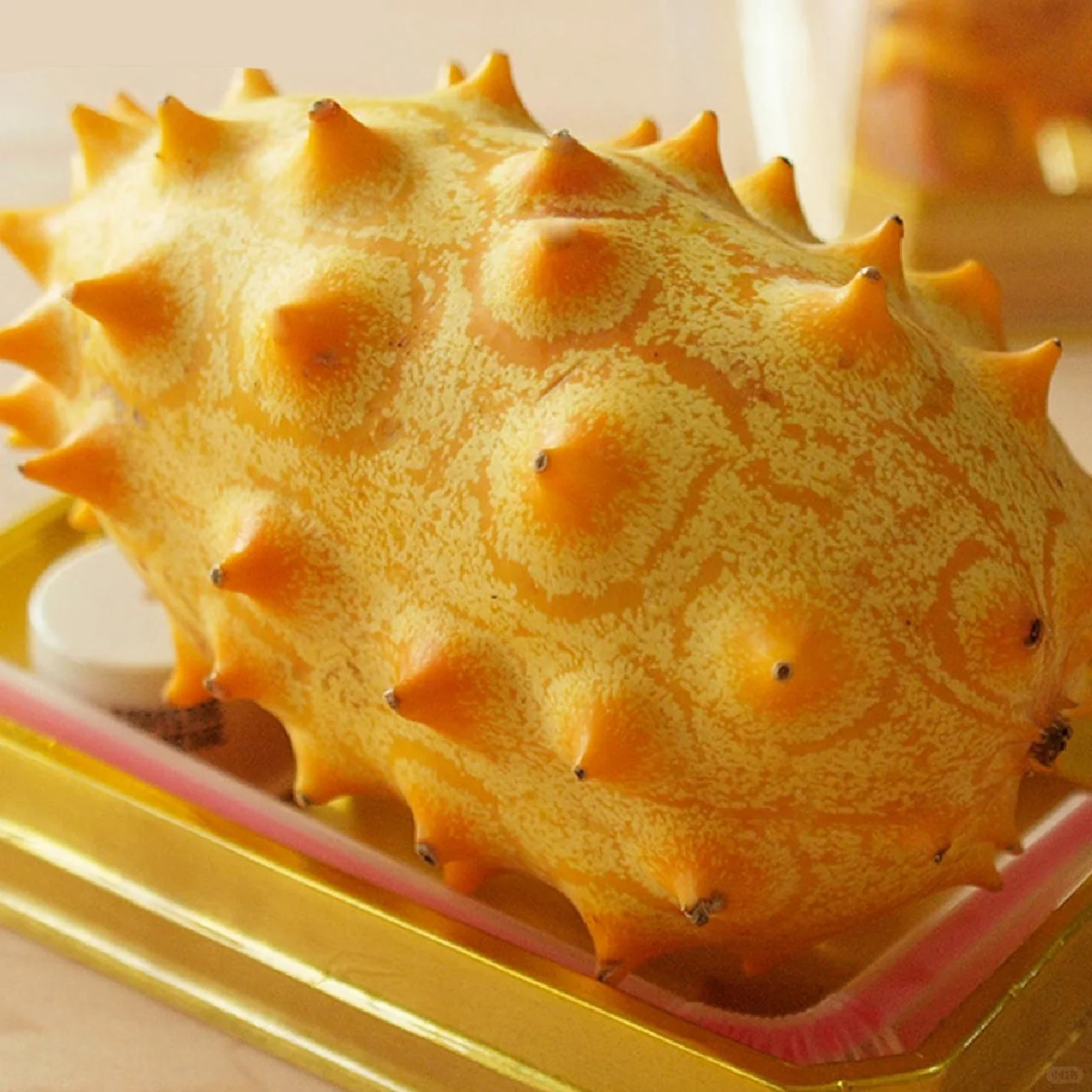 Semillas de Fruto de Ginseng de Fuego