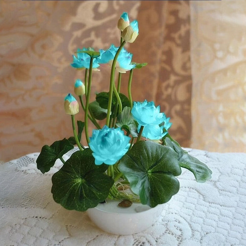 La sagrada flor de loto bonsái