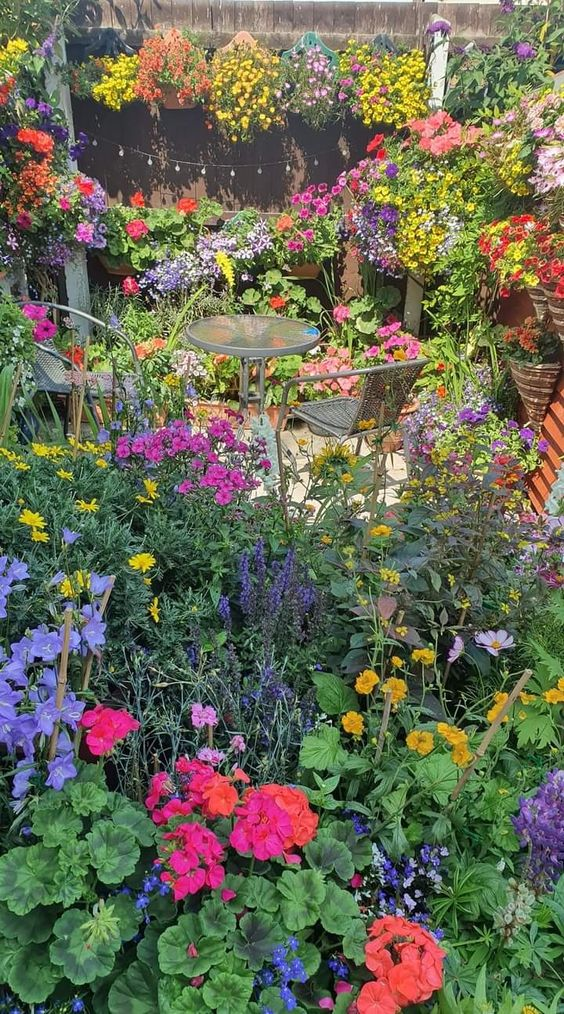 All Perennial Wildflower Seed Mix - Rainbow Garden