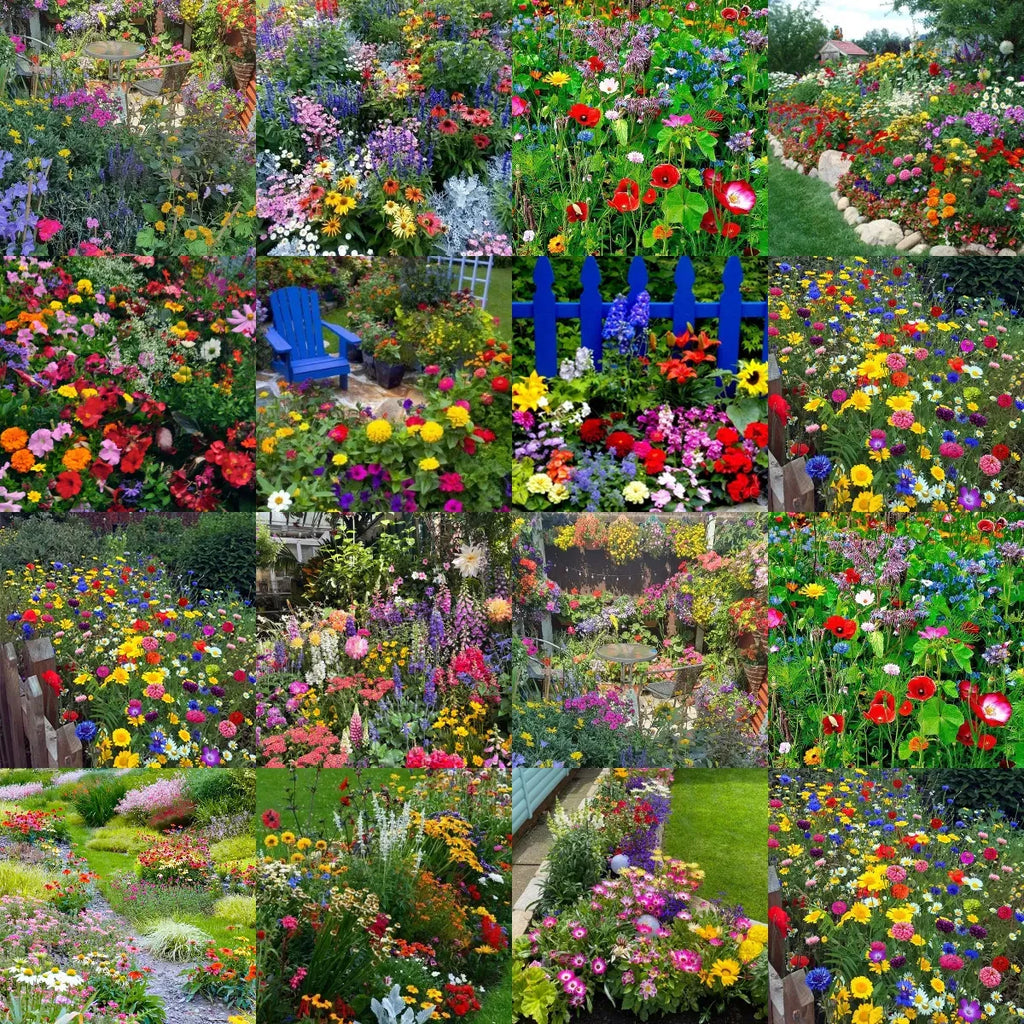 🐝Amigable con los insectos🔥Más de 60 semillas de flores perennes variadas🌿Puras sin OMG