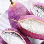 Semillas de Stauntonia Latifolia - Alimento Ecológico