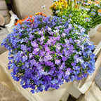 🌈Planta Tapizante Óptima✨Semillas de Lobelia Erinus Rastrera