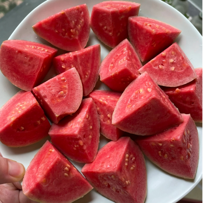 Semillas de guayaba rosada orgánica tropical de fresa y guayaba