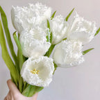 Semillas de tulipán de color raro para bonsái