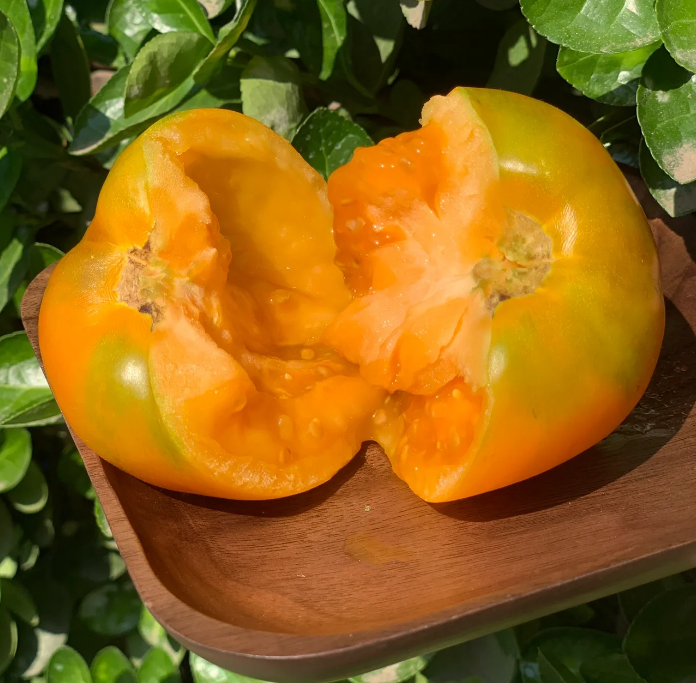 Semillas de caqui amarillo