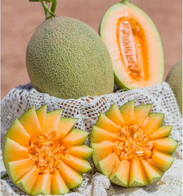 Semillas de melón cantalupo reticulado