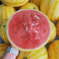 Semillas de Sandía Roja Dorada
