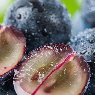 Jabuticaba-Plinia cauliflora-Semillas de uva de árbol