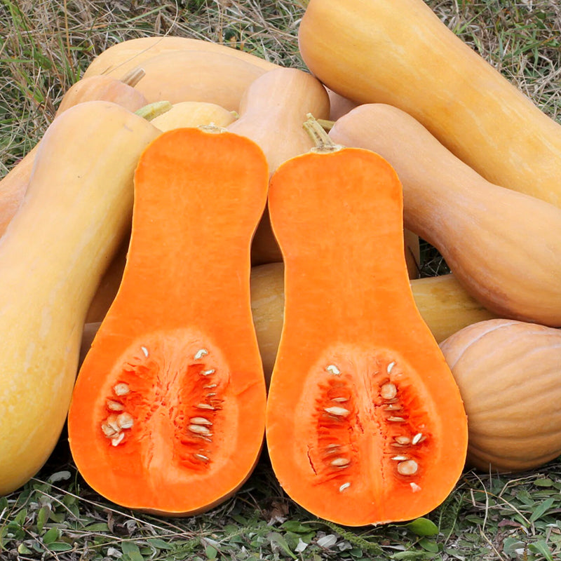 Semillas de calabaza cremosas