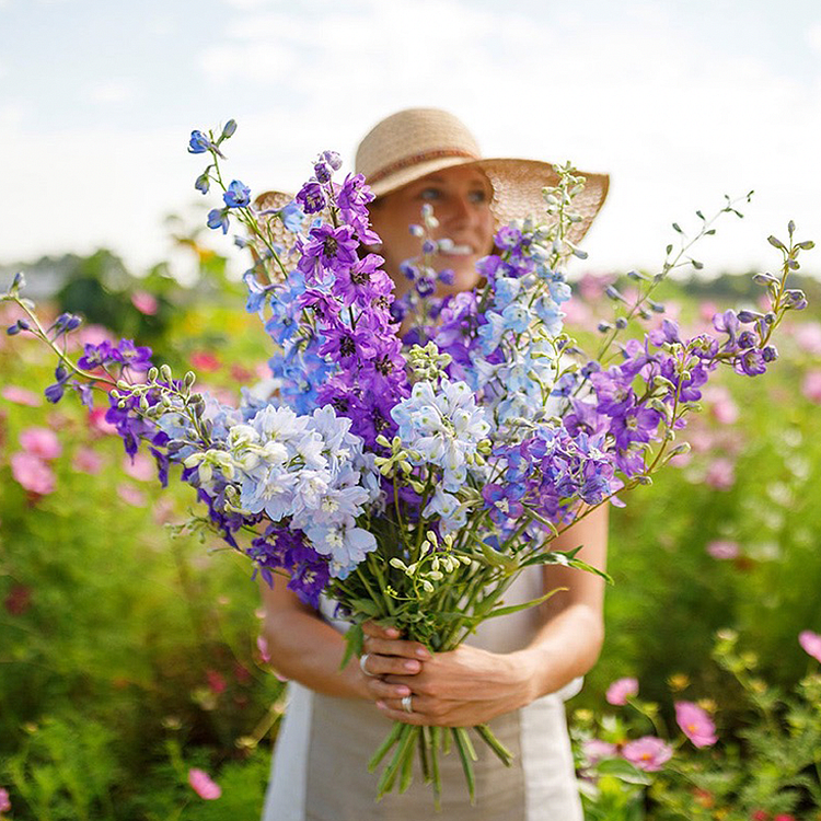 🌼Semillas de Delphinium de Flores Grandes