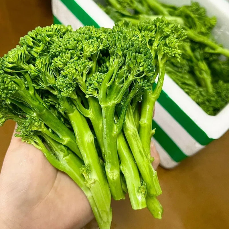 🥦Semillas raras de broccolini