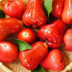 Semillas de fruta de manzana de cera🍹