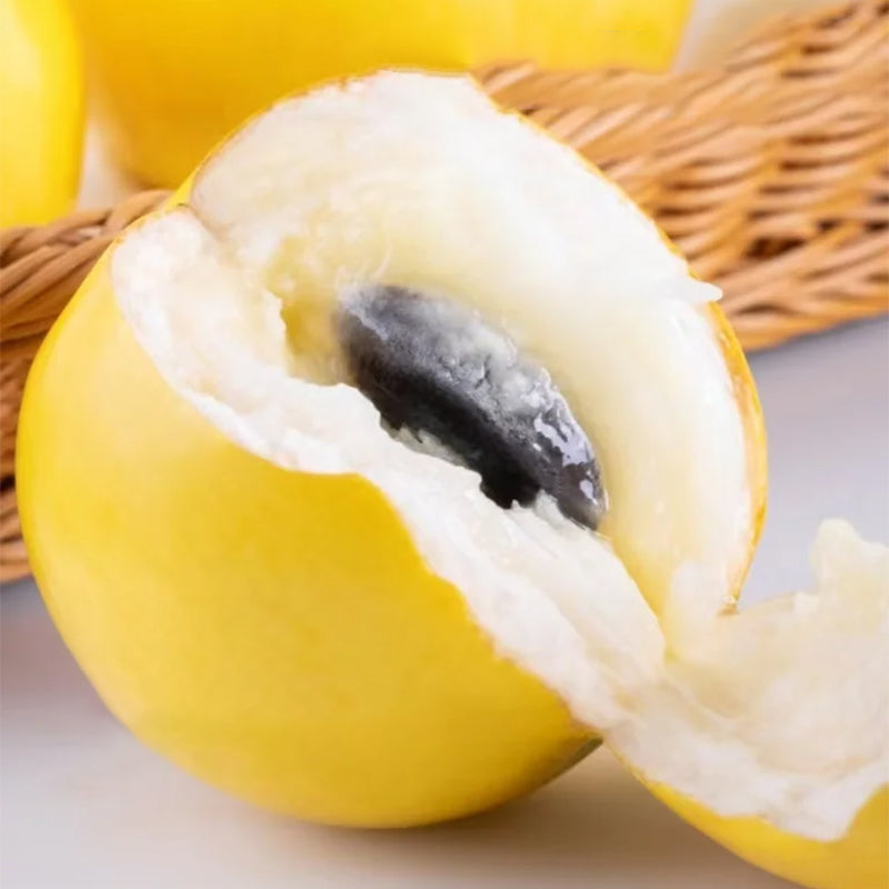 Semillas de Fruta Dorada