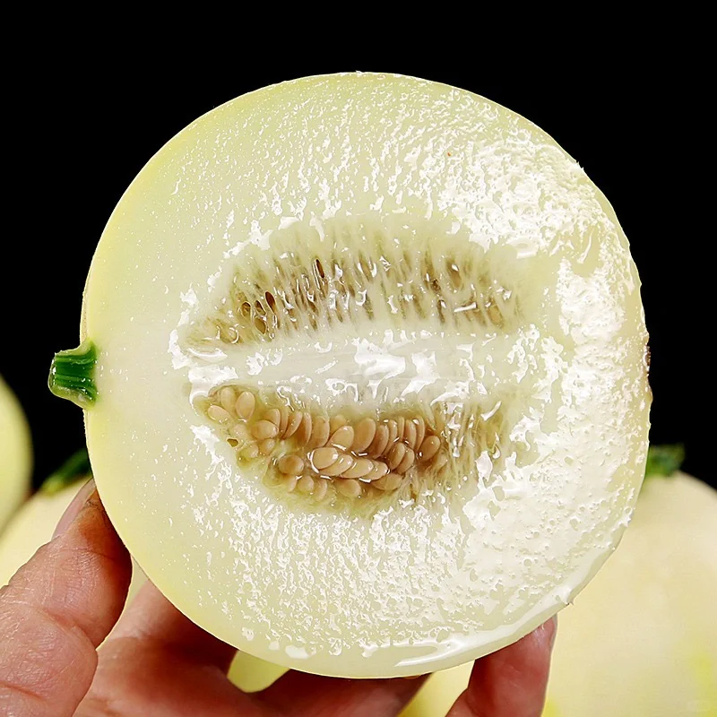 Semillas de melón perezosas