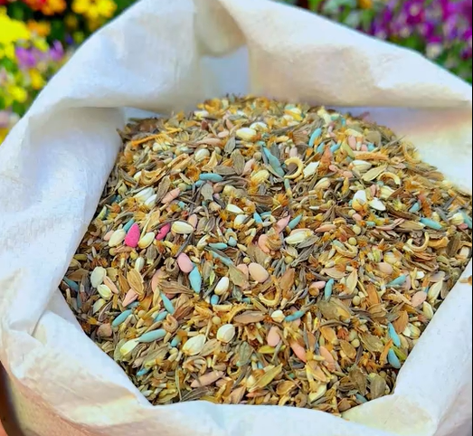 Semillas de Flores Perennes Mixtas-Más de 60 variedades mezcladas