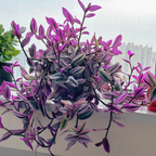 💐Pintura al óleo Orquídea de boda - El judío errante