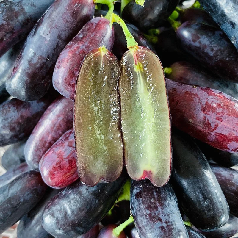 Semillas de uva Sweet Sapphire