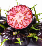 Semillas de ginseng de frutas rojas-Fruta araña
