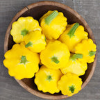 Semillas de calabacín Pattypan