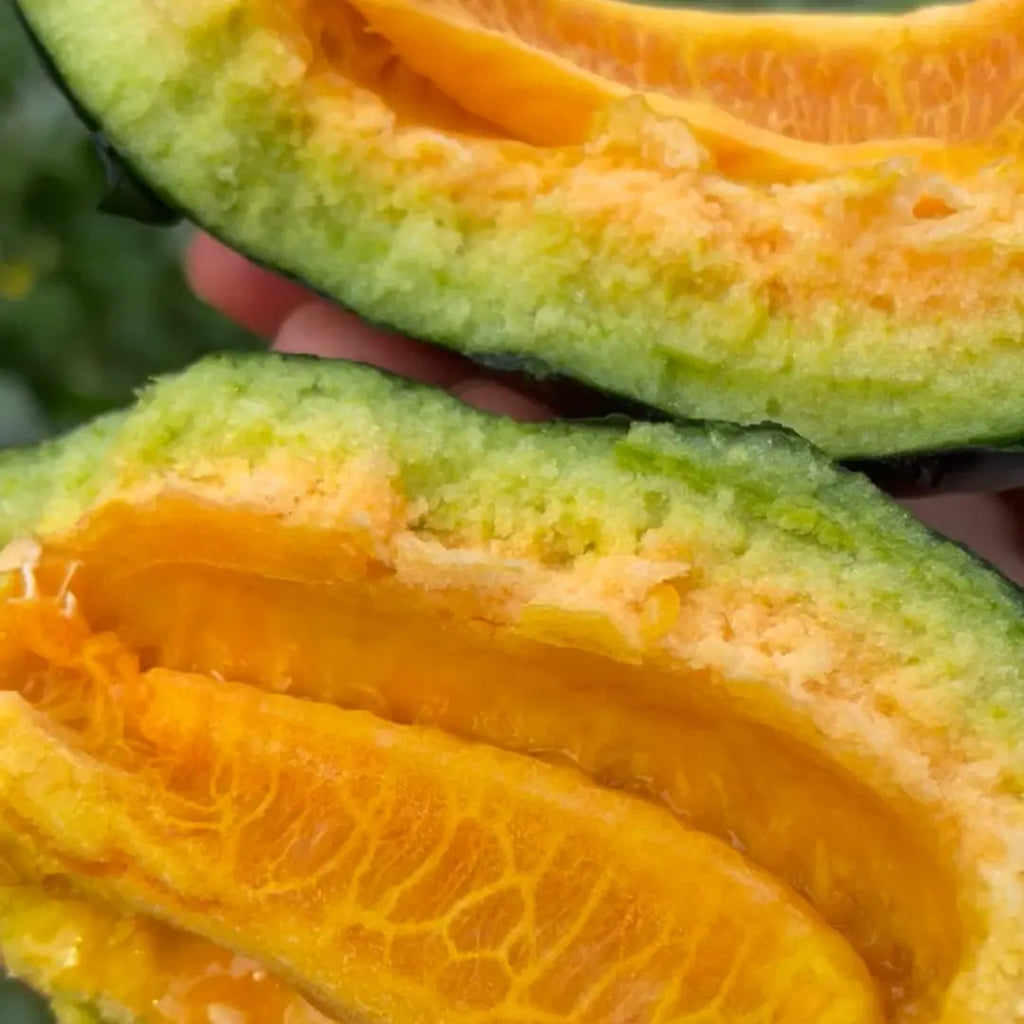 Semillas de melón: el melón más adecuado para personas mayores y niños