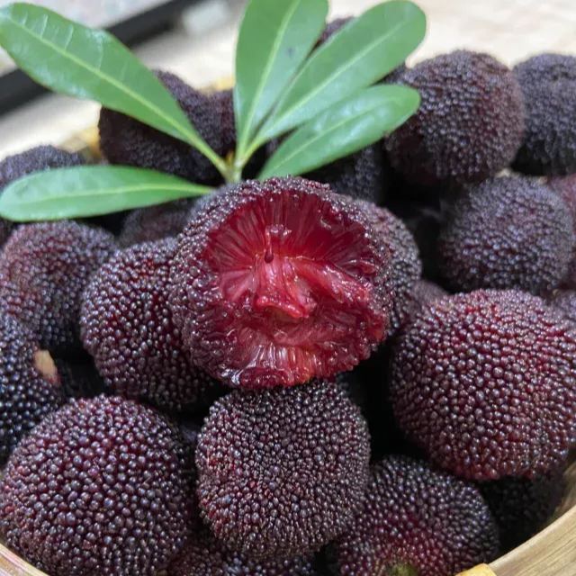 🍒 Semillas de Arrayán Perla Negra Gigante