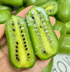 Semillas de kiwi dátil blando
