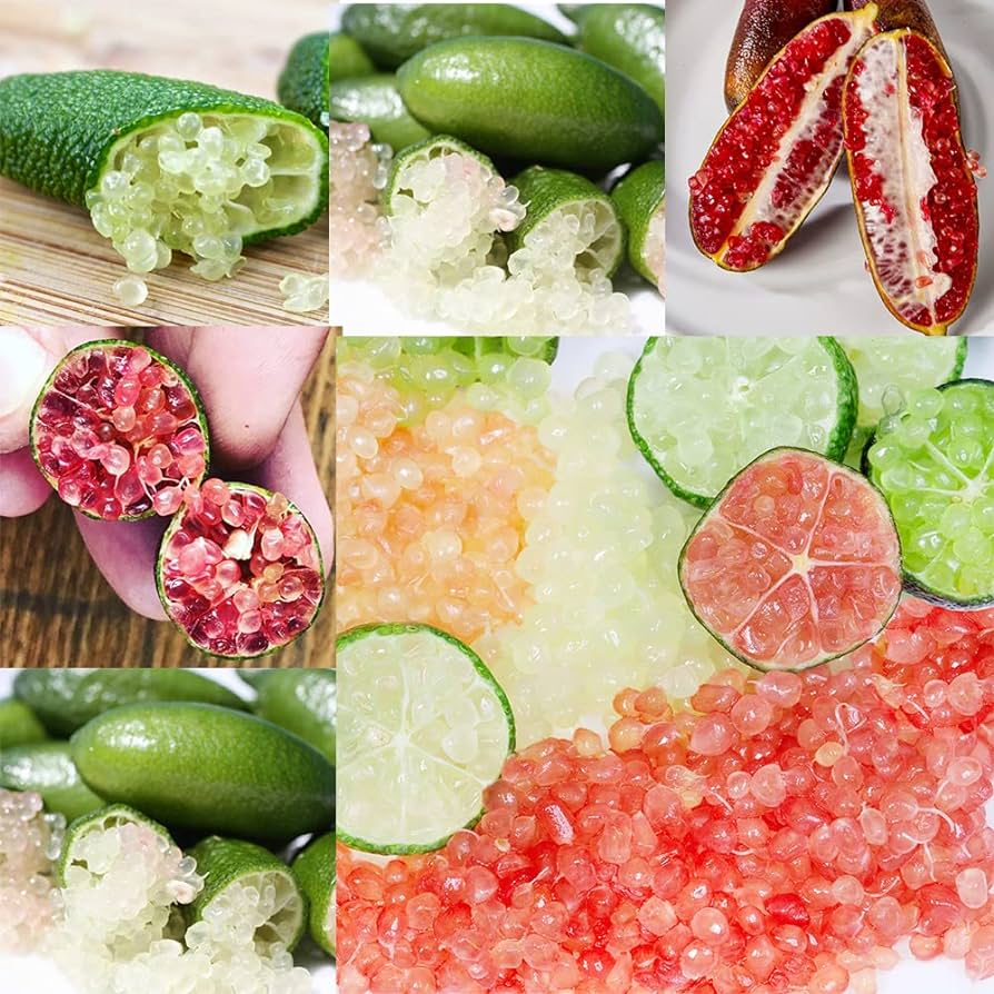 Finger Lime Seeds Lemon Caviar Seeds