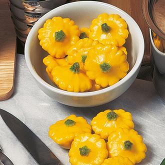 Semillas de calabacín Pattypan
