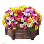 10000 Pcs Muti-color portulaca Seeds