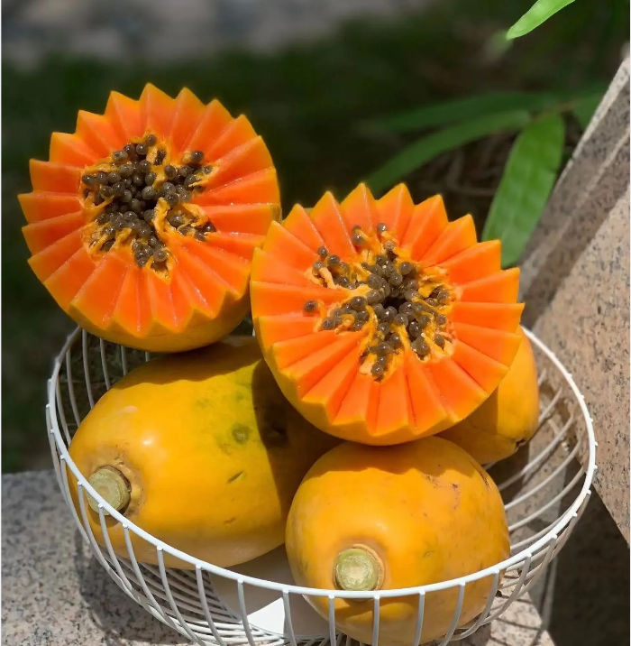 Semillas de papaya cremosas doradas