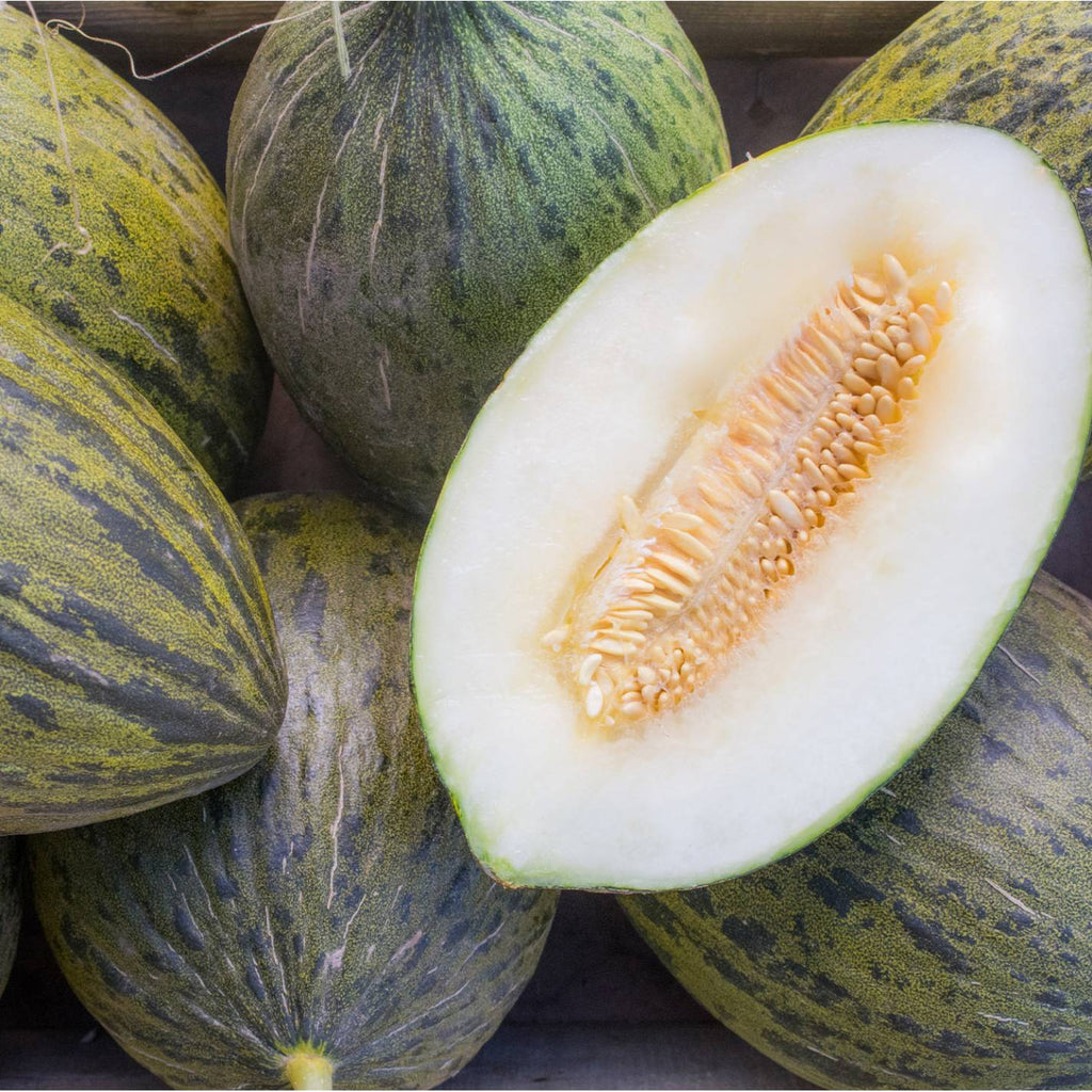 Melón Piel de Sapo