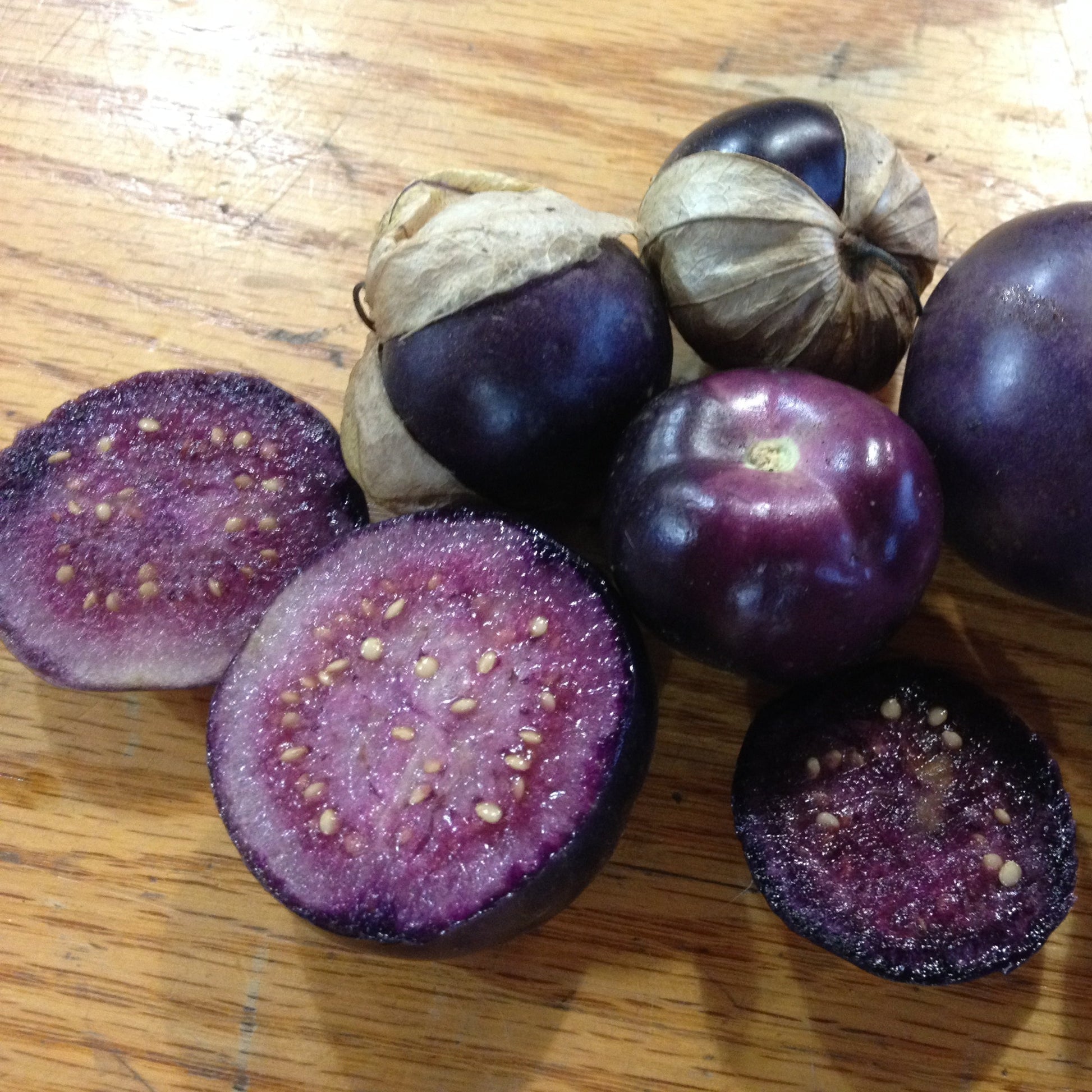 Semillas de tomatillo morado - No transgénicas