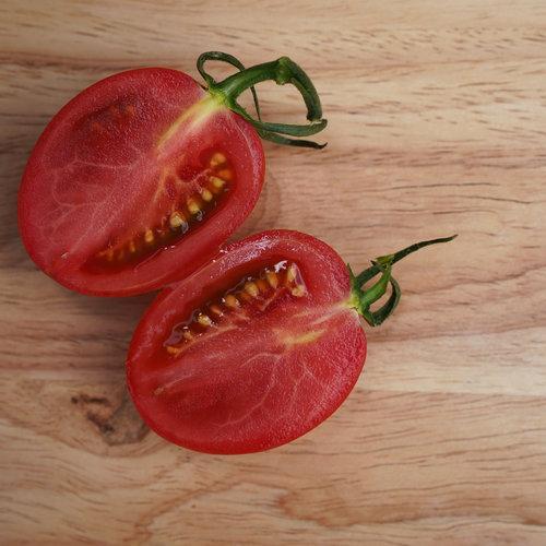 Tomates Garden Gem